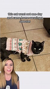 This cat refuses to tell anyone where he keeps getting his new sweaters. 🐈‍⬛ Papa Legba is mostly an indoor cat, but as a former stray, he sometimes sneaks out. Lately, he’s been coming home with new sweaters. It seems that this cat has two families and is splitting his time between them, but the second family has not come forward, so the origin of the sweaters is technically still a mystery. In any case, Crystal Robert is happy that when her cat sneaks out, he seems to just be going to another