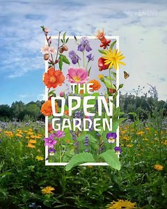 Om te vieren dat we 100 jaar bestaan, brengen we onze tuinen tot leven! Ervaar de biodiversiteit van de Weleda tuinen en ontdek the Open Garden! 🌱🐝🌳🏵🐞 | Weleda