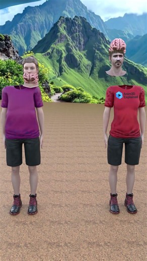 What If You and Your GF Swapped Bodies Completely😳#shorts #3danimation #shipoftheseus