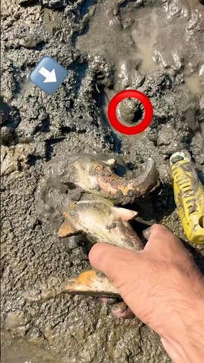 Beach Hunting in Los Angeles | Incredible Discoveries on the Shore