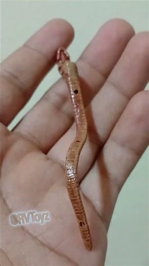 Neca Aliens Creature Pack, 30th Anniversary! #necatoys #aliens #xenomorph