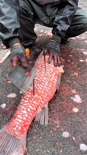 Road Par Live Fish Cutting 😳 Ye China Ka Fish Market Hai #shorts