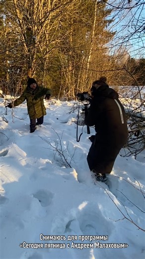 Exploring a Snowy Forest: Footprints in the Snow