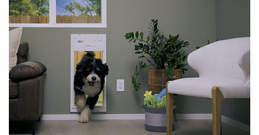 High Tech Pet Unveils the Power Pet Roll-Up Door™: Fully Automatic, WiFi-Enabled, Smart Pet Door for Modern Homes