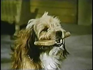 Petticoat Junction 4x16 His Highness the Dog