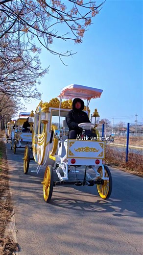 Eco-Friendly Electric Cart: The Future of Transport