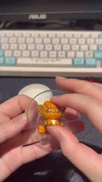 POKEMON POKEBALL #pokemon