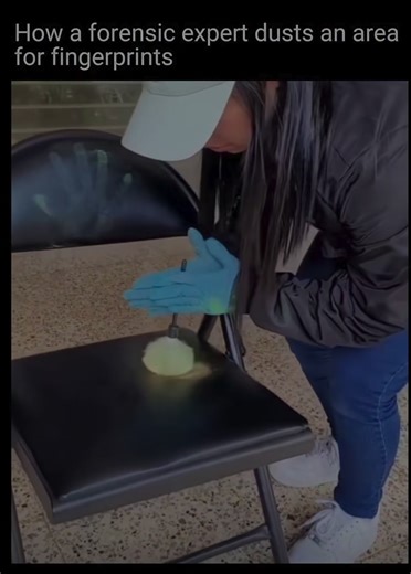 A forensic expert dusts an area for fingerprints by lightly applying a fine powder using a soft brush or magnetic wand. The powder sticks to the natural oils and sweat left behind in fingerprint ridges, making the print visible. Once the fingerprint appears, it is carefully photographed and then lifted using adhesive tape or a gel lifter for further examination and comparison.#fyp #usa #tiktokviral #viral #foryoupage