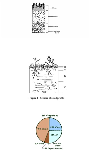 Soil Formation & Conservation