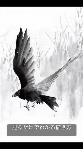 見るだけでわかる羽ばたく烏の描き方 #17 #水墨画 #鳥 #カラス