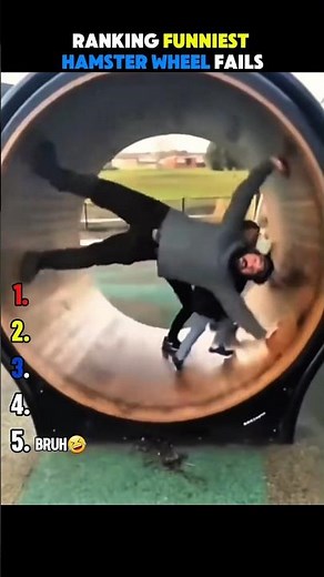 Ranking Funniest Hamster Wheel Fails Ever Ranked