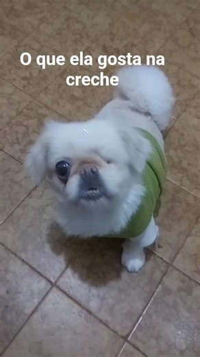 Minha Vida na creche