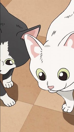 Apply Cat To Face! | The Way of the Househusband: Season 2 | Clip | Netflix Anime