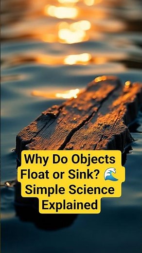 Why Do Objects Float or Sink? 🌊 Simple Science Explained