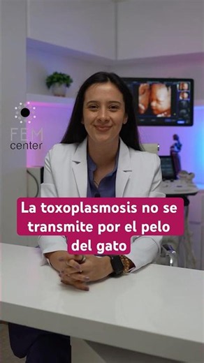 La toxoplasmosis no se transmite por el pelo del gato