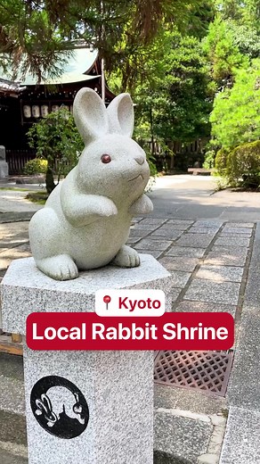 Exploring Kyoto's Charming Rabbit Shrine