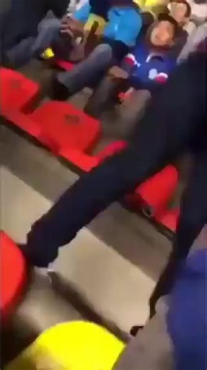 Excitement in the Stadium: Fans Supporting Their Team