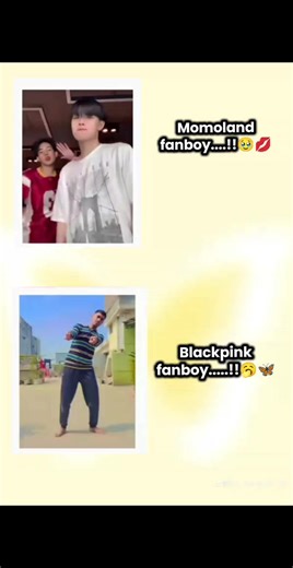 Exploring K-Pop Fandom: BTS, Momoland, and Blackpink