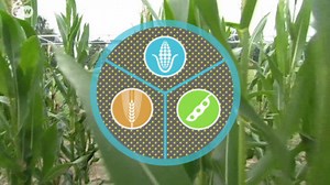 Farming and climate change