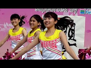 女子大生のチアダンス（Cheer dance)ＰＡＲＴ③ 同志社ＳＷＥＥＴＩＥＺ