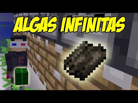 Cómo hacer una granja automática de algas Minecraft | Tutorial Java y Bedrock