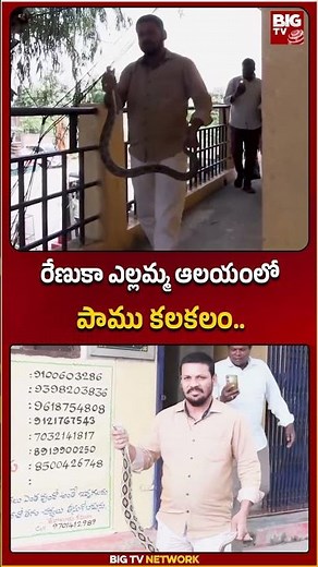 రేణుకా ఎల్లమ్మ ఆలయంలో పాము కలకలం..| Dubbaka | Siddipet | Renuka Ellamma Temple | BIG TV