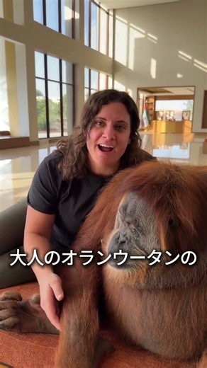 オランウータンの危険性