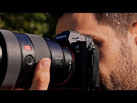 Lens VS Resolution: What's More Important?