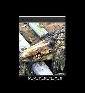 heaven says scp fixed