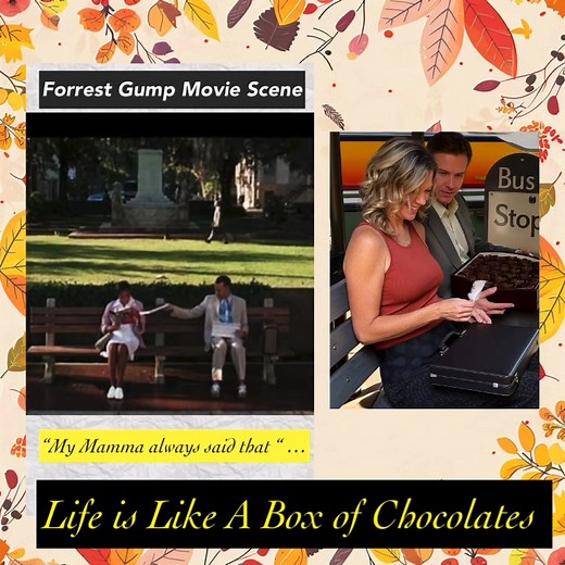 Forrest Gump bus stop movie scene 🎬… “my mama always told me .. Life is Like A Box of Chocolates 🍫 #busstop #movie #forrestgump #moviesceneedits #skits #chocholate #Movies #replicate #ClassicMovies | Real Life Stories Did that just happen