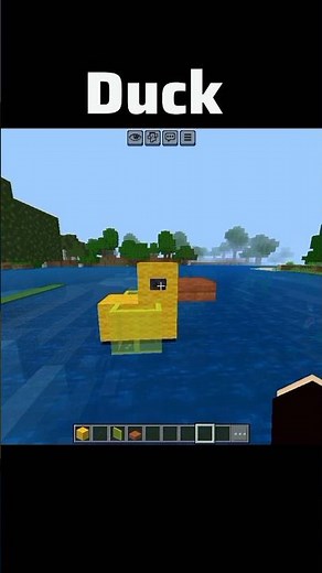 Duck build in Minecraft bedrock edition #short #minecraft