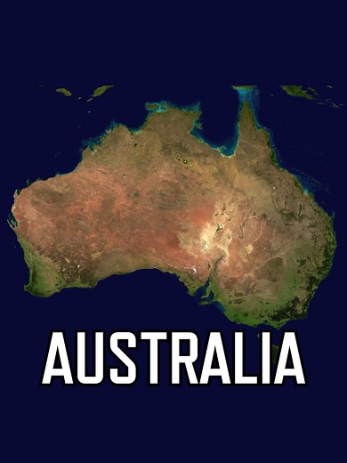 Australia Discovers New Insect Species
