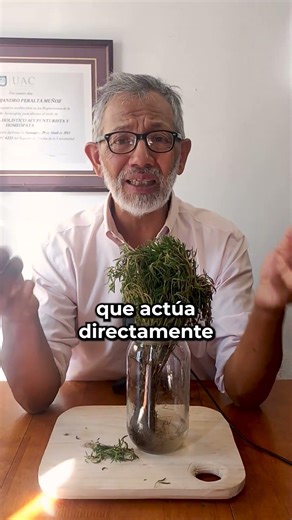 El poder oculto del Tomillo: ¡Mucho más que un condimento! 🌿