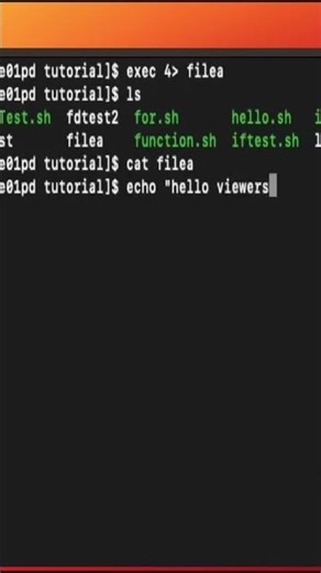 Linux File Descriptor #shorts #linux #programmer #scripting #bash