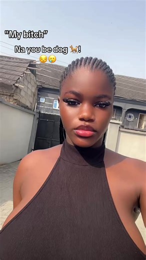 Humorous Dog Memes on TikTok