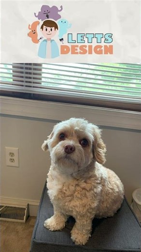 How I illustrated this book cover