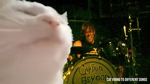 188K views · 13K reactions | RIP to the incomparable, Taylor Hawkins of the Foo Fighters  Foo Fighters - No Way Back | Vibe Cat | Facebook