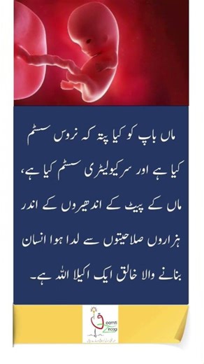 Beautiful Title: Allah – The Perfect Creator of Life 💫🫀#islamicshorts #motivation