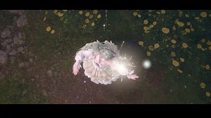 🎬Joyful Song of Fireworks丨Dance Move Preview 🎆How to Obtain Reach 160 Resonances in [Skyward Bouquets] to claim [Treasure-Laden Gift Box]. The gift box includes the dance move [Firework Call] and the item [Joyful Song of Fireworks]. Use [Joyful Song of Fireworks] to perform an elegant dance in the game. The [Firework Call] dance move can be used in photo mode with Momo's Camera. 🎆Special Effect Use [Joyful Song of Fireworks] to dress up freely and select a location to perform a unique dance m