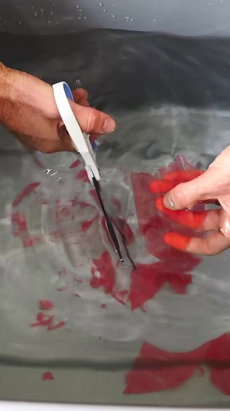 Cutting glass with scissors