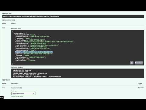 DX API V2 - CRUD Operation through Data endpoints APIs in Pega Infinity V'25.