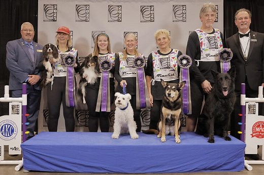Meet the Winners of the 2025 AKC Agility Invitational