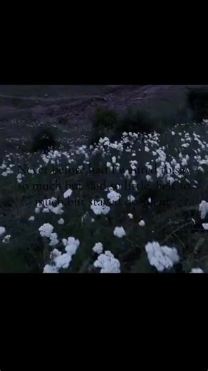 Expressing the Unspoken: A Poetic Reflection