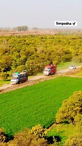 Sargodha is considered the best citrus-producing area of Pakistan and therefore is also known as the California of Pakistan. Sargodha is largest kinnow-producing district of the world. It produces oranges that are considered high-quality, and supplies them to the different parts of the country. #Sargodha #SargodhaCity #sargodhaeagle | Sargodha Eagle