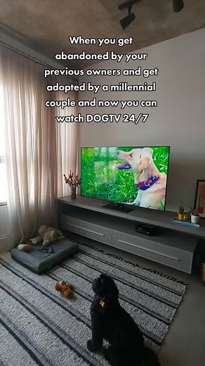 DOGTV no TikTok