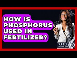 How Is Phosphorus Used In Fertilizer? - Science Through Time