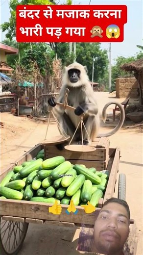 #comedy #funny #monkeychallenge #shortvideo #ekmotahathighumecha #entertaininganimal #trendingvideo