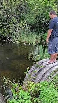 Alligator SCARE!! Florida Everglades Never Fails to Amuse and Terrify 😳