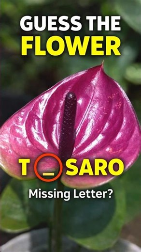 Can You Guess This Flower? 🇺🇸 USA Flower Quiz | Missing Letter T_SARO 💜