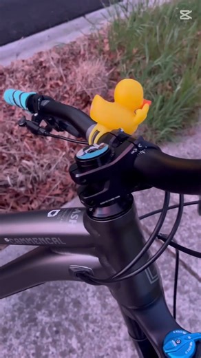 New MTB!!! Commencal Clash #newbike #foxsuspension #steezy